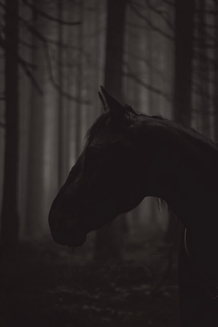 The Moral Lessons In Nature