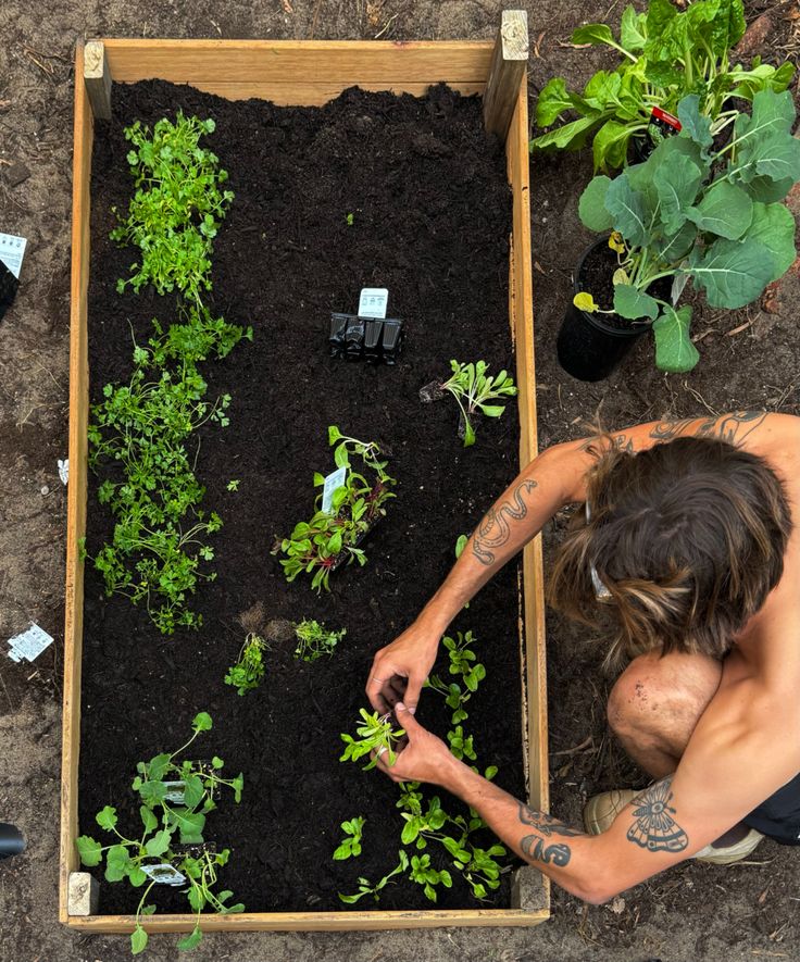 Why Homesteading Only Looks Radical in a World of Convenience