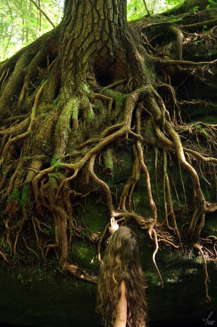 Ancient Wisdom and How It Shapes Our Modern Relationship With Nature