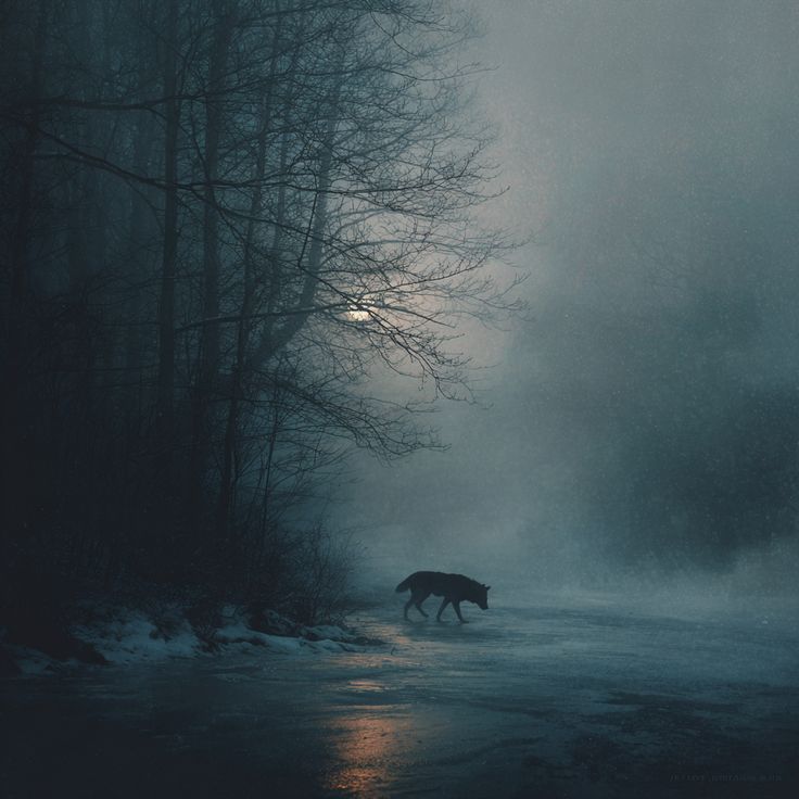 Archetypal Recognition: Why Certain Patterns Feel True Before We Understand Them